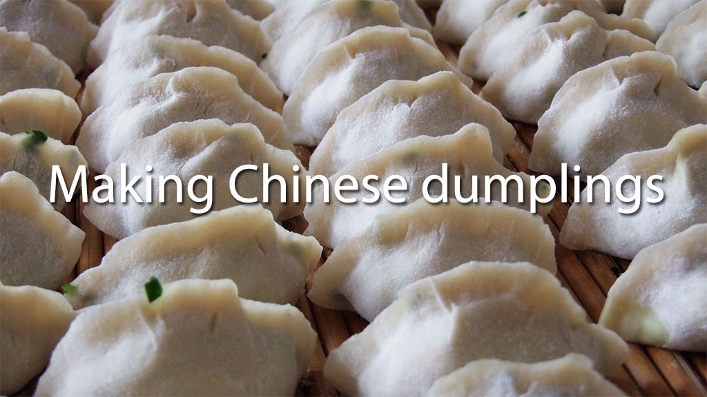 Making Chinese dumplings